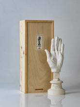 Load image into Gallery viewer, LIFE CAST SCULPTURE OF MAESTRO&#39;S LEFT HAND