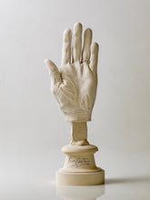 Load image into Gallery viewer, LIFE CAST SCULPTURE OF MAESTRO&#39;S LEFT HAND